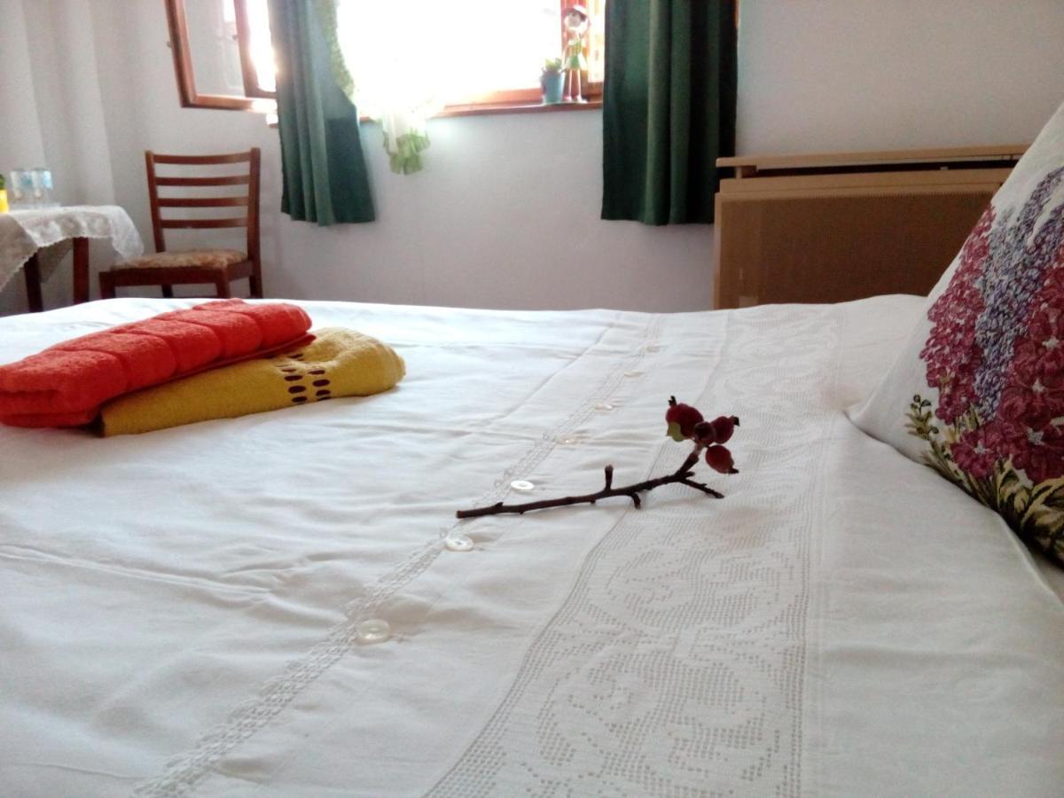 Grandpa's Séjour chez l'habitant Sighişoara